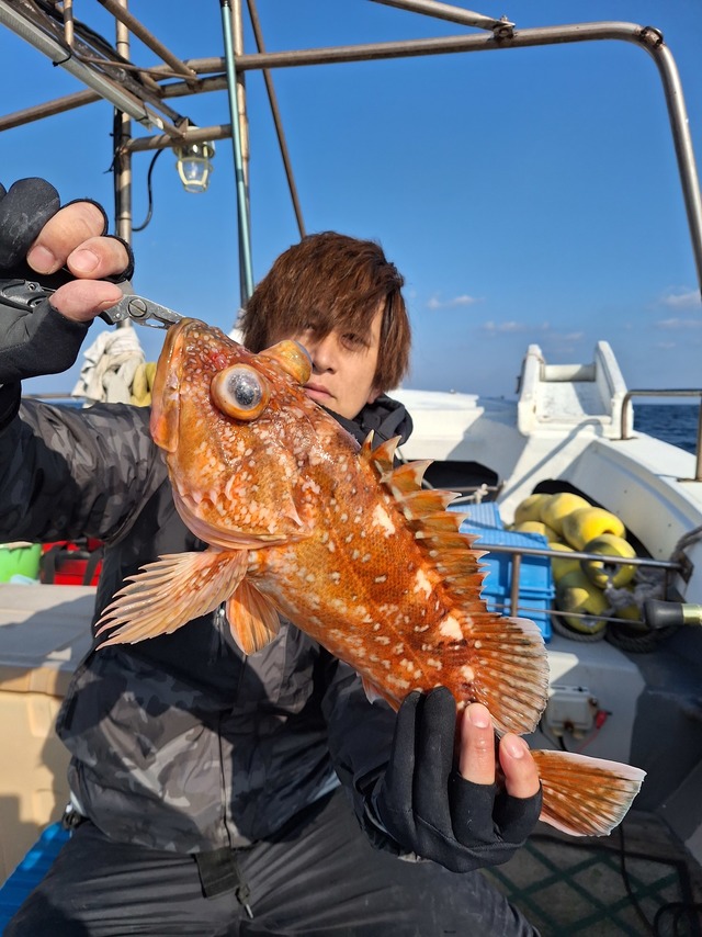 アラカブ(カサゴ)