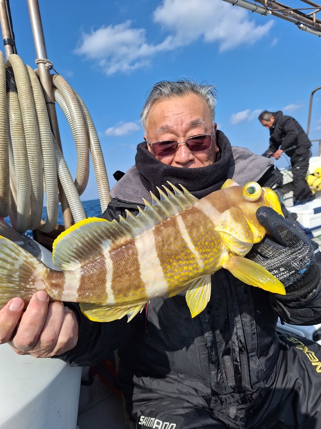 アオナ(アオハタ)