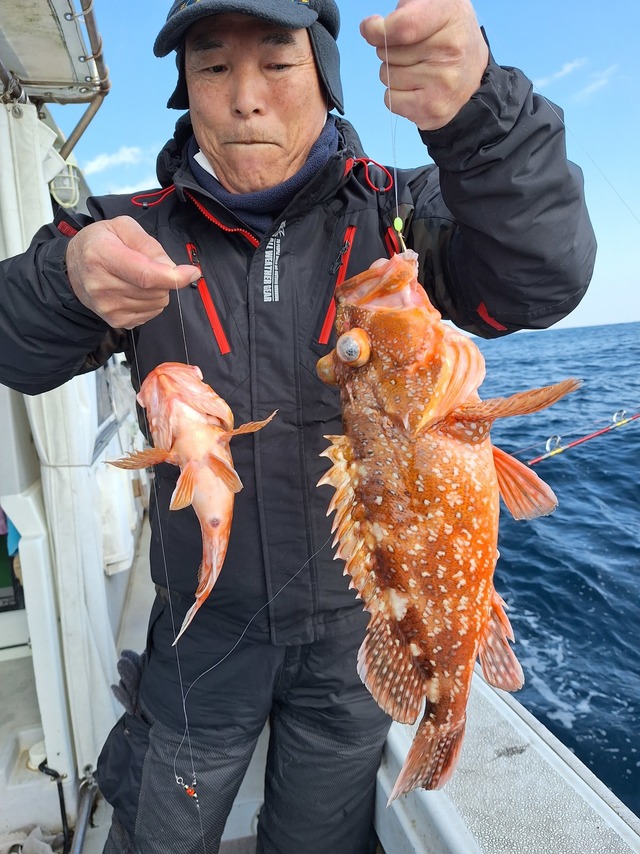 アラカブ(カサゴ)