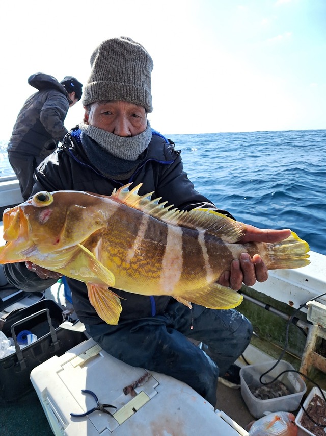 アオナ(アオハタ)