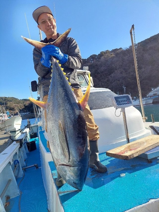 キハダマグロ(キハダ)