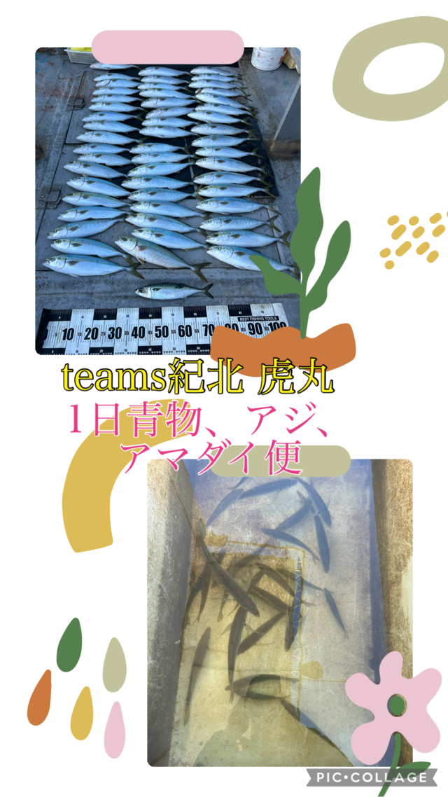 アジ(マアジ)・ハマチ(ブリ)・サバ(マサバ)