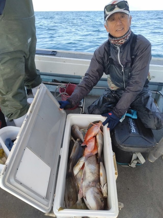 イシダイ・アカイサキ・イサキ・メダイ