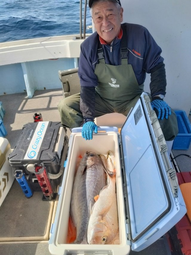 マダイ・メダイ