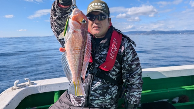 アマダイ(アカアマダイ)