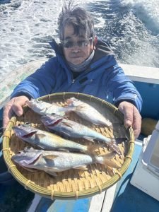 シロムツ(オオメハタ)