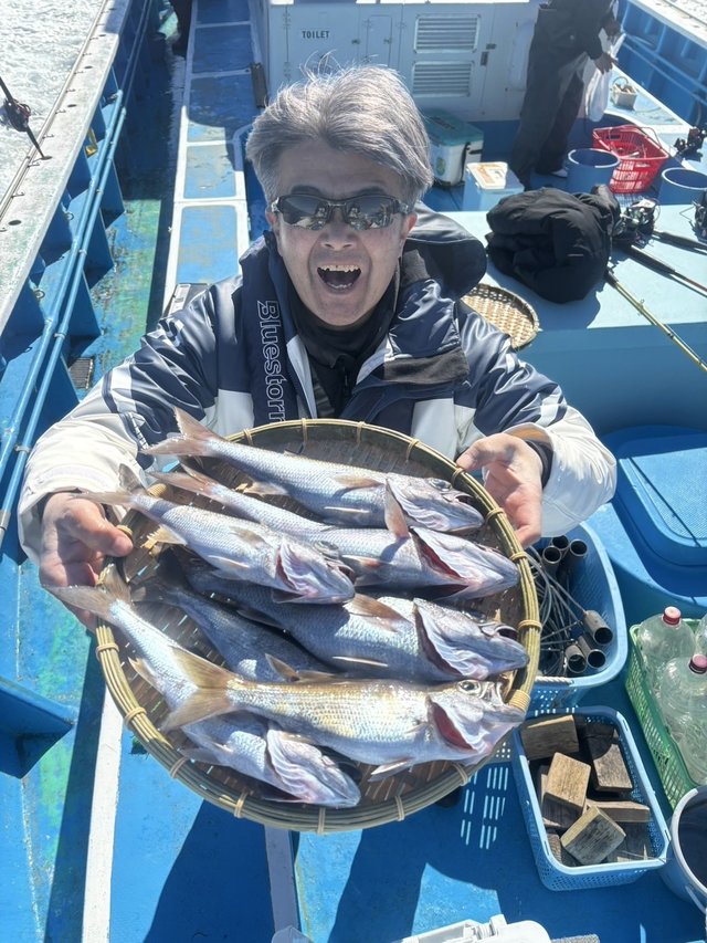 シロムツ(オオメハタ)