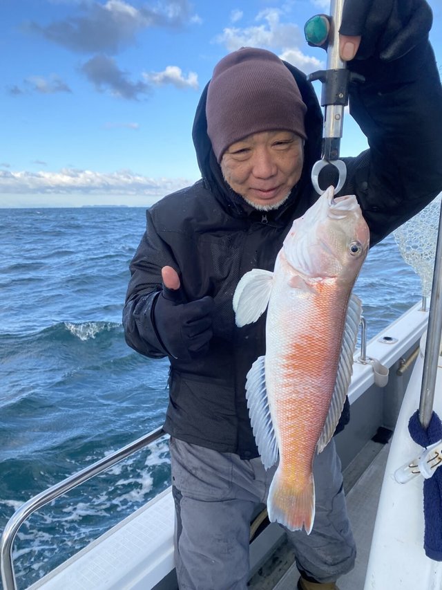 アマダイ(アカアマダイ)