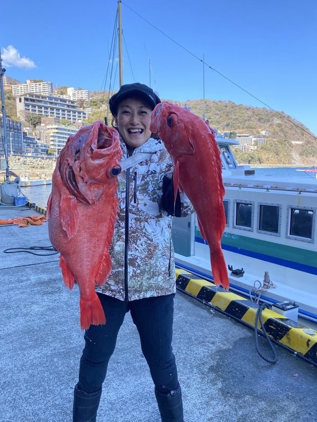 ベニアコウ(オオサガ)