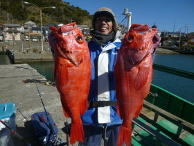 ベニアコウ(オオサガ)