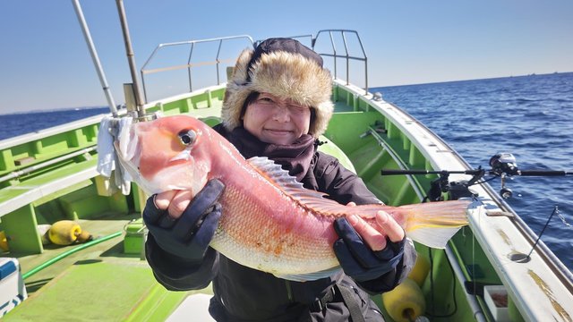 アマダイ(アカアマダイ)