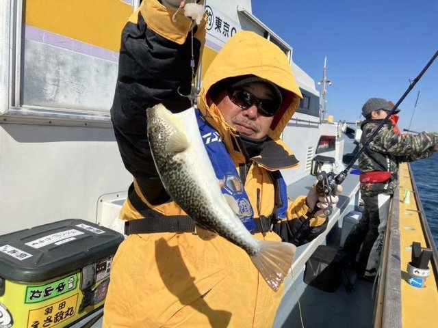 ショウサイフグ