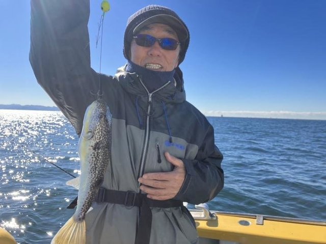 ショウサイフグ