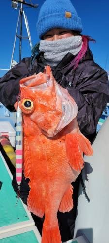 メヌケ(アコウダイ)