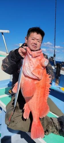 メヌケ(アコウダイ)