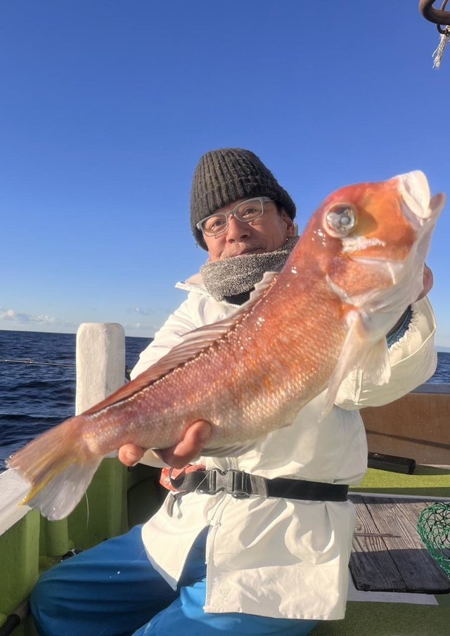 アマダイ(アカアマダイ)