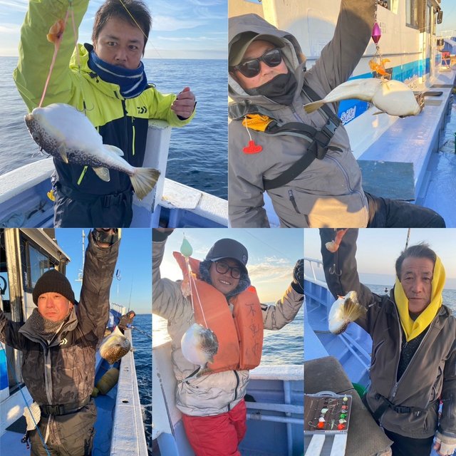 ショウサイフグ