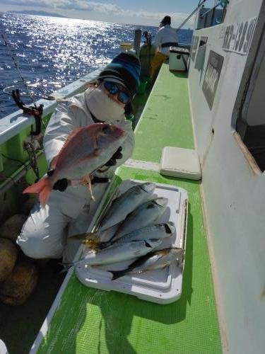 マダイ・イナダ(ブリ)・イサキ