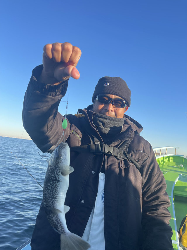 フグ(ショウサイフグ)