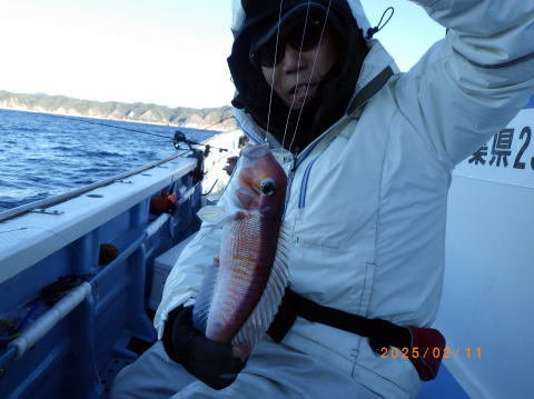 アマダイ(アカアマダイ)