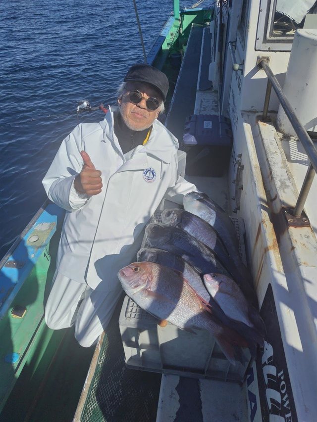 マダイ・メダイ