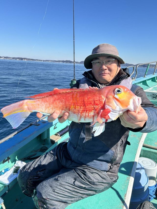 アマダイ(アカアマダイ)