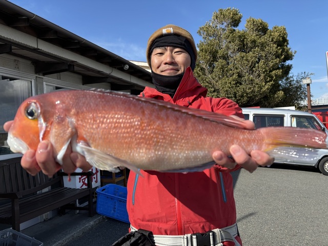 アマダイ(アカアマダイ)