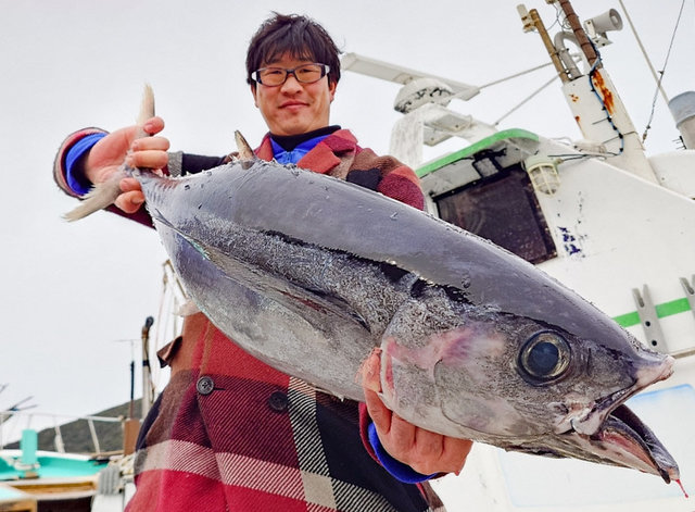 ビンチョウマグロ(ビンナガ)