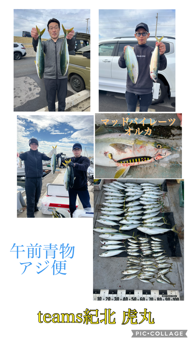 アジ(マアジ)・ハマチ(ブリ)・メジロ(ブリ)・サバ(マサバ)