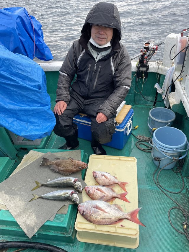 マダイ・オオモンハタ・アジ(マアジ)