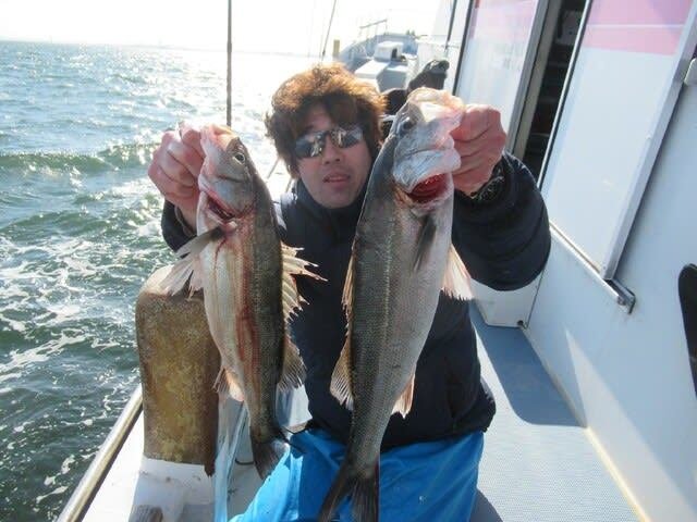 シーバス(スズキ)