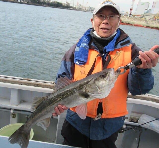 シーバス(スズキ)