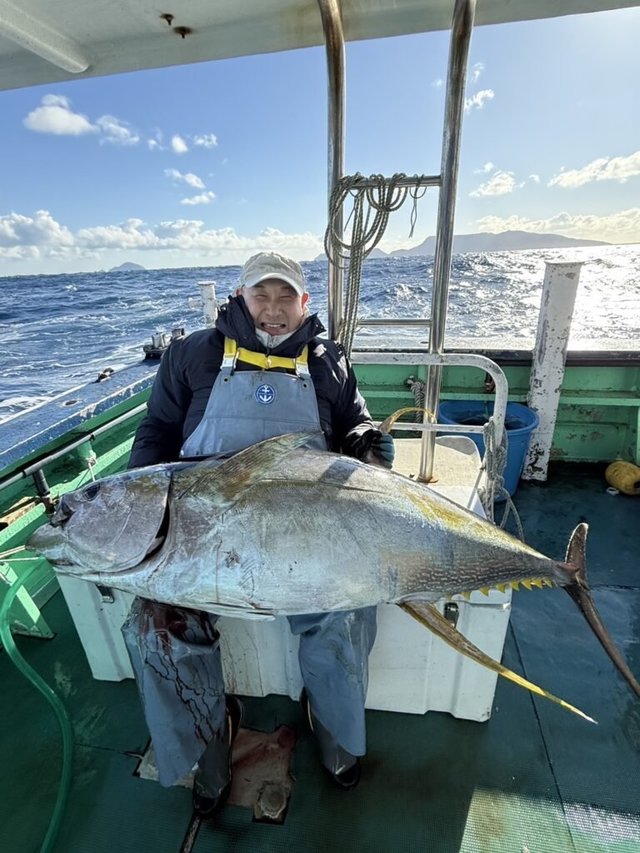 キハダマグロ(キハダ)