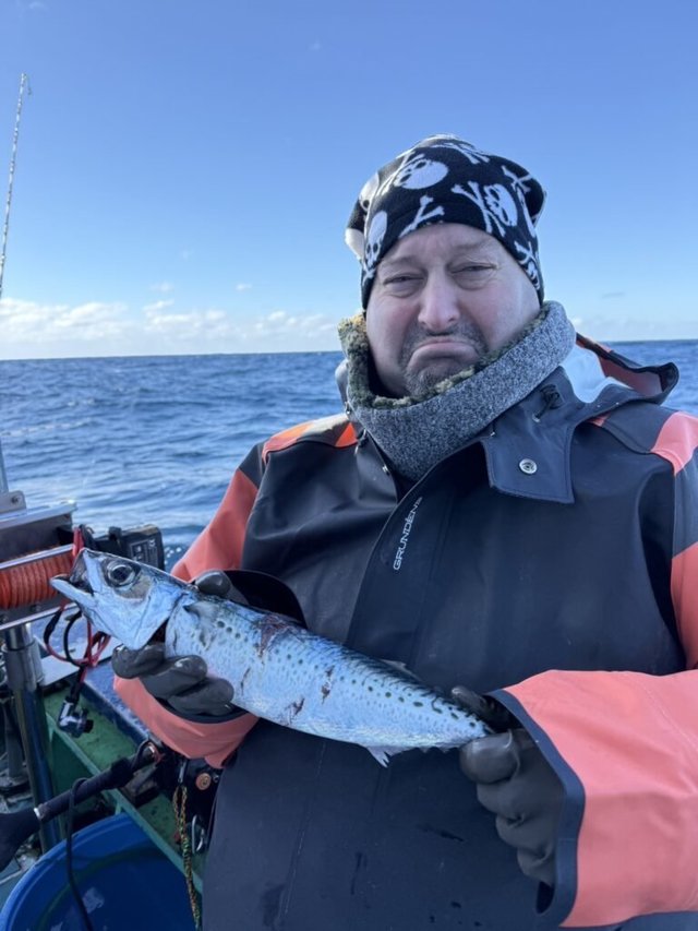 サバ(ゴマサバ)