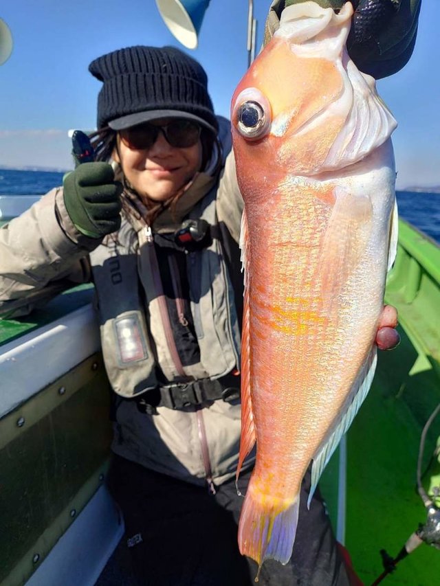 アマダイ(アカアマダイ)