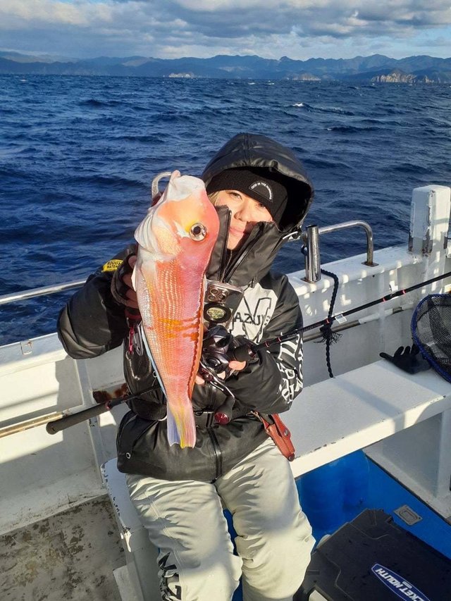 アマダイ(アカアマダイ)