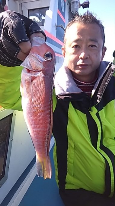 アマダイ(アカアマダイ)