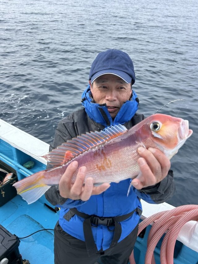 アマダイ(アカアマダイ)