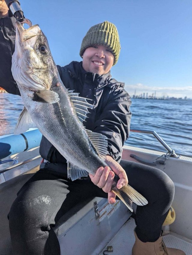 シーバス(スズキ)