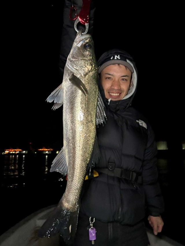 シーバス(スズキ)