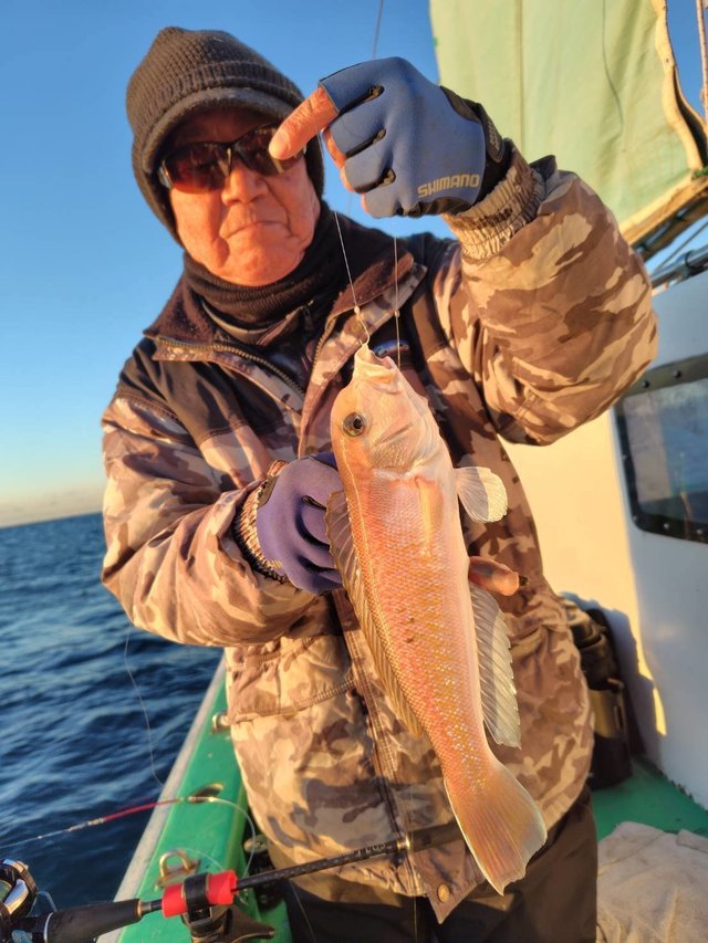 アマダイ(アカアマダイ)