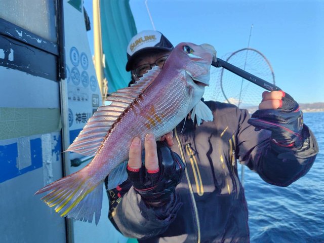 アマダイ(アカアマダイ)