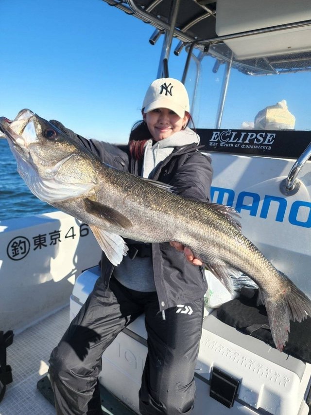 シーバス(スズキ)