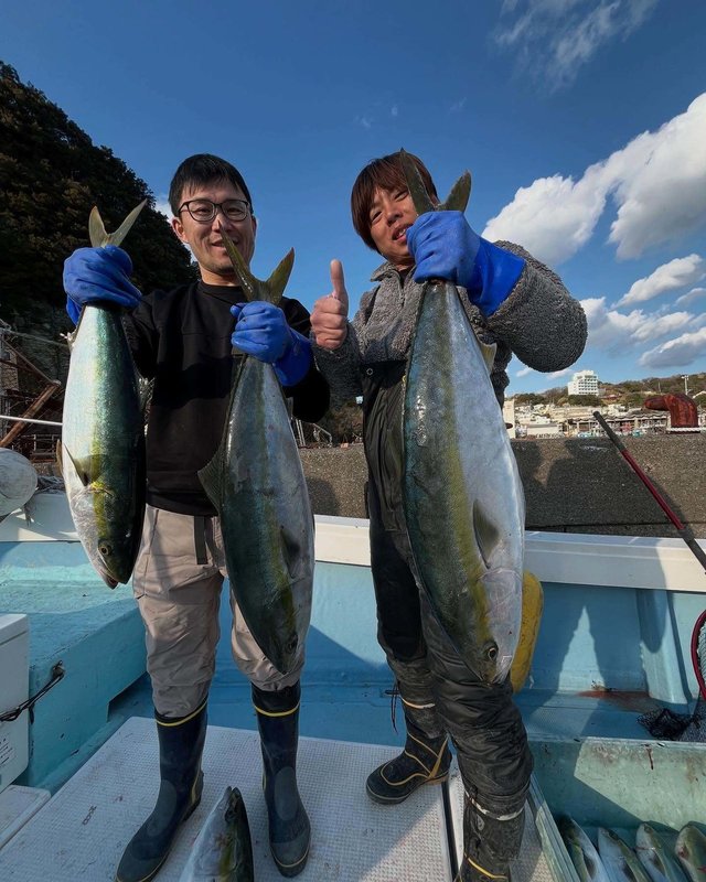 ブリ・ハマチ(ブリ)