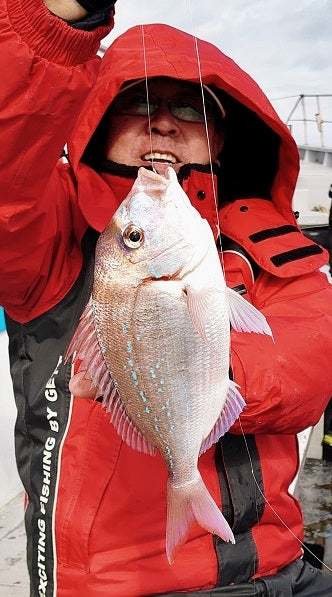 ハナダイ(チダイ)