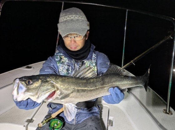 シーバス(スズキ)