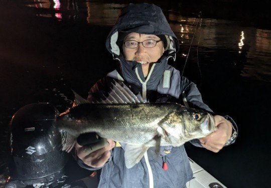 シーバス(スズキ)