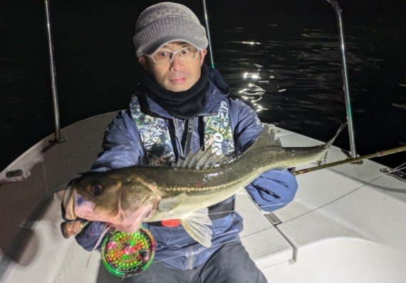 シーバス(スズキ)