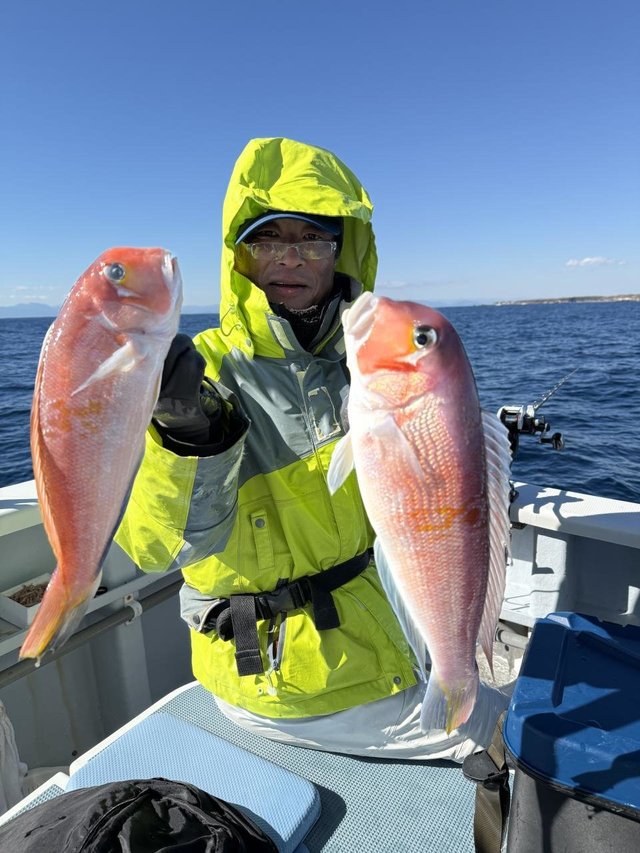 アマダイ(アカアマダイ)