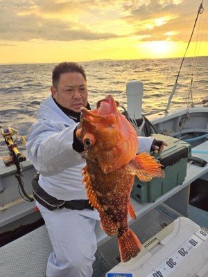 カンコ(ウッカリカサゴ)